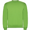 Sudadera Clasica Infantil Roly - Color verde Oasis 114